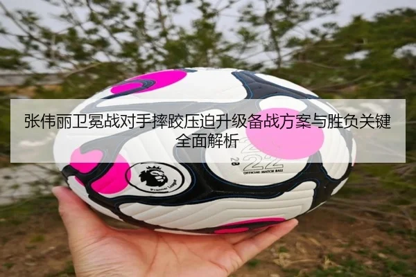 张伟丽卫冕战对手摔跤压迫升级备战方案与胜负关键全面解析